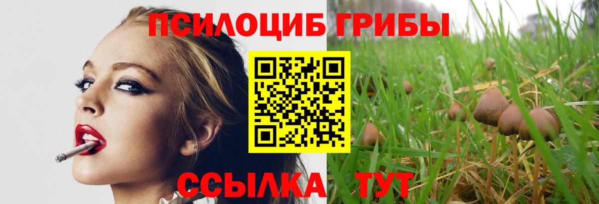 Калач-на-Дону  Псилоцибиновые грибы Magic Shrooms  Вход с VPN 